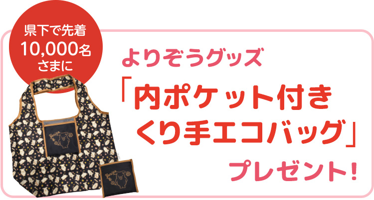 県下で先着10,000名さまによりぞうグッズ「内ポケット付きくり手エコバッグ」プレゼント！